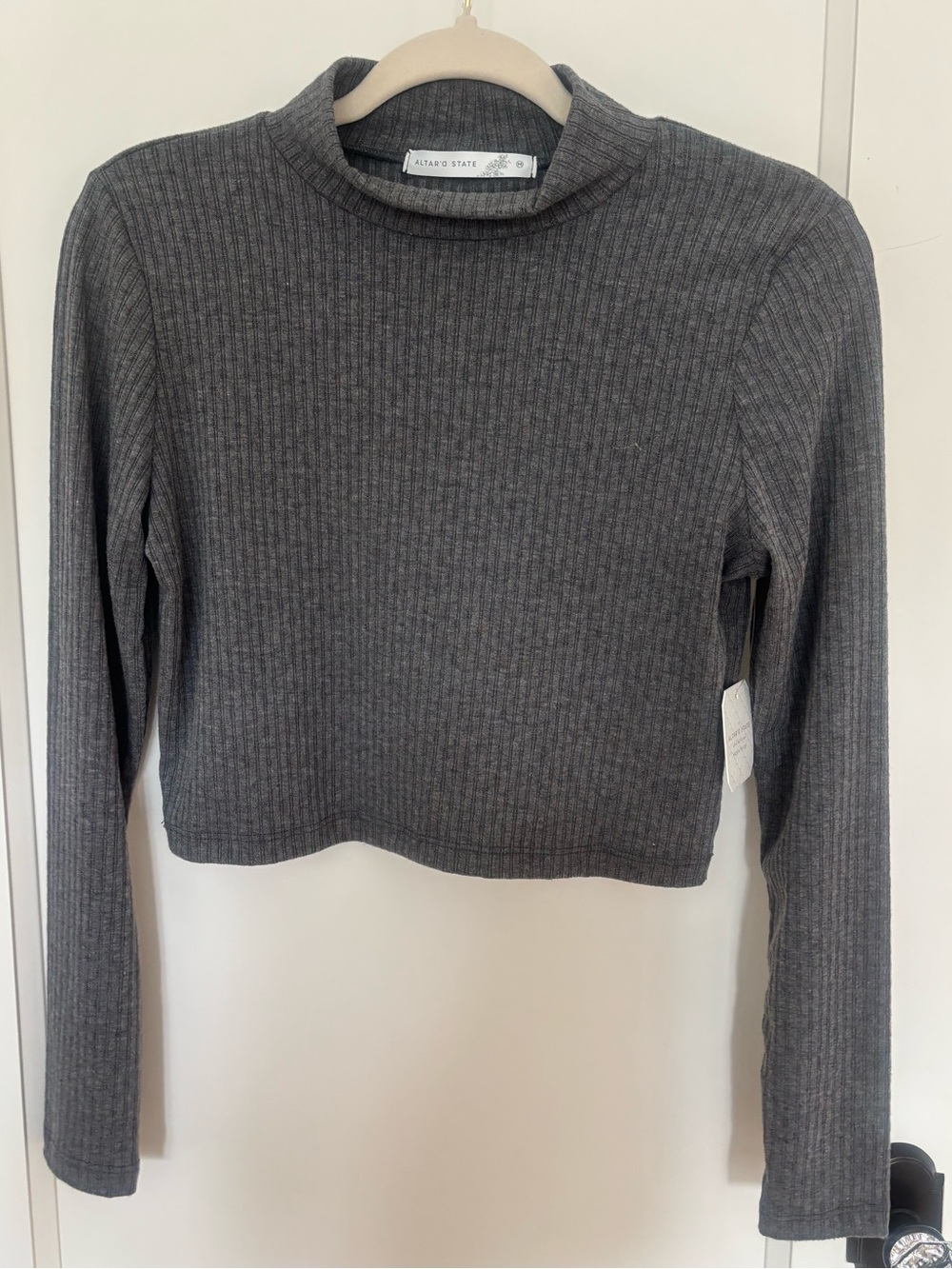 NWT Altar’d State Mock Neck Long-Sleeve Crop Top - Size M